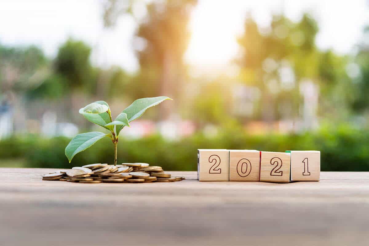 Self-Directed IRA Investments Guide – New Year, New Investment 
